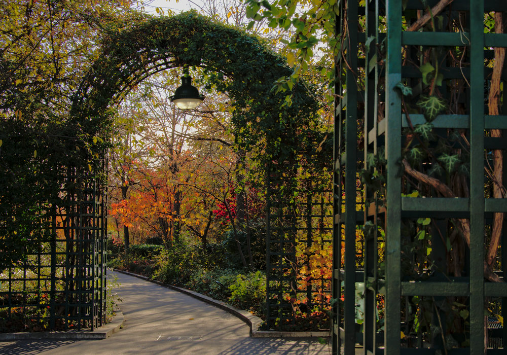 Un jardin de la Coulée verte René-Dumont